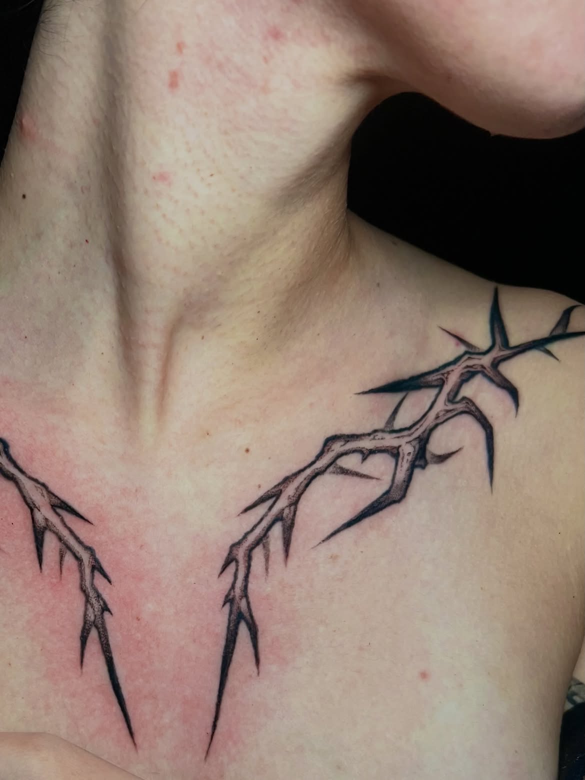 Tatuaje de Autor & Personalizado